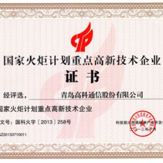 國家火炬計劃重點(diǎn)高新技術(shù)企業(yè)